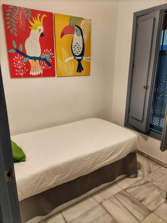 Apartament Coqueto Donkey Sewilla Zewnętrze zdjęcie